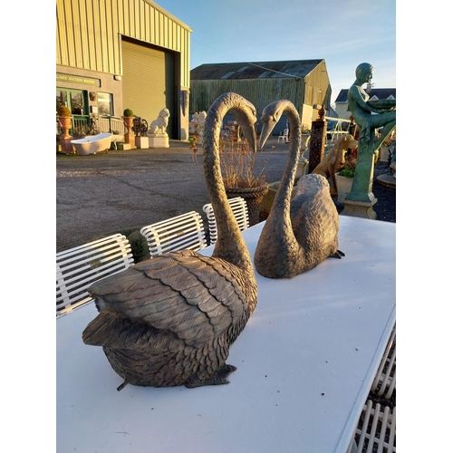 747 - Pair of exceptional quality bronze swans {69cm H x 79cm W x 38cm D}