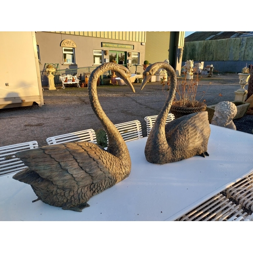 747 - Pair of exceptional quality bronze swans {69cm H x 79cm W x 38cm D}