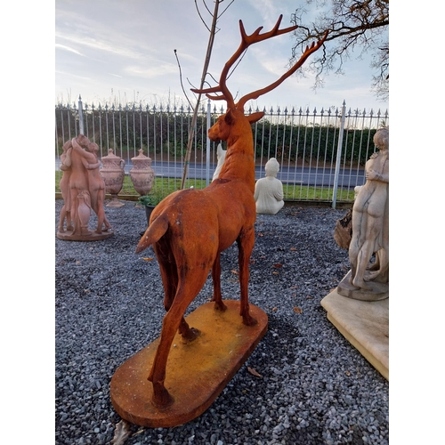 749 - Good quality cast iron majestic stag {147cm H x 107cm W x 65cm D}