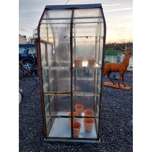 752 - Early 20th C wrought iron glass/green house {172cm H x 77cm W x 73cm D}