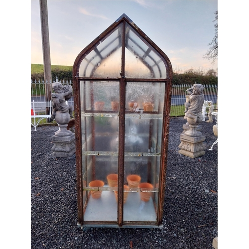 752 - Early 20th C wrought iron glass/green house {172cm H x 77cm W x 73cm D}