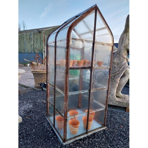 752 - Early 20th C wrought iron glass/green house {172cm H x 77cm W x 73cm D}