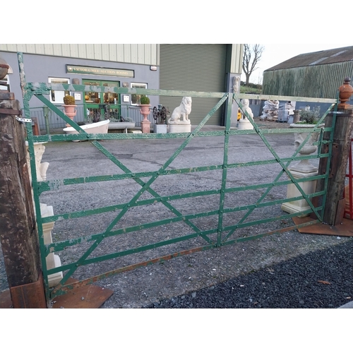 753 - 19th C wrought iron field gate {158cm H x 279cm W}