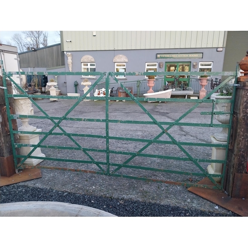 753 - 19th C wrought iron field gate {158cm H x 279cm W}