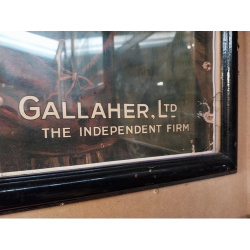 325 - Gallaher Ltd Gold Plate Cigarettes framed advertising print. {63 cm H x 50 cm W}.