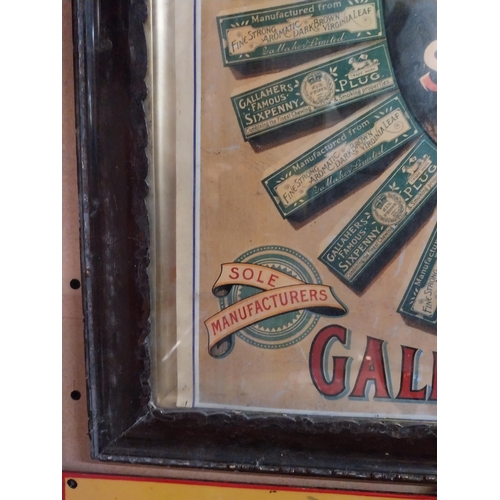 333 - Gallaher's Smoking and Chewing Sixpenny Tobacco Plug framed advertising print. {60 cm H x 26 cm W}.