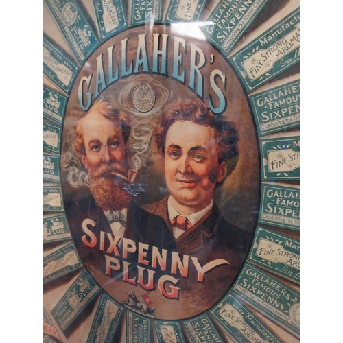 333 - Gallaher's Smoking and Chewing Sixpenny Tobacco Plug framed advertising print. {60 cm H x 26 cm W}.