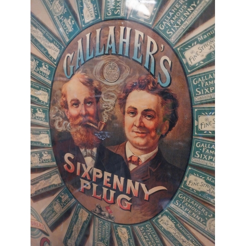 333 - Gallaher's Smoking and Chewing Sixpenny Tobacco Plug framed advertising print. {60 cm H x 26 cm W}.