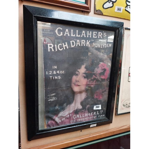 360 - Gallaher's Rich Dark Honeydew Tobacco framed advertising print. {58 cm H x 48 cm W}.