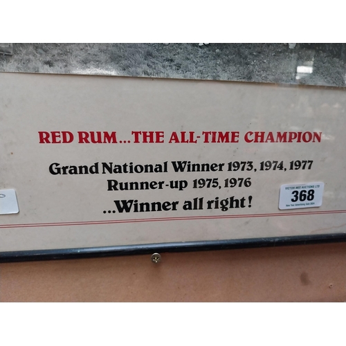 368 - Murphys Stout Summer Show 1980 Red Rum Champion of All time framed print  {52 cm H x 70 cm W}