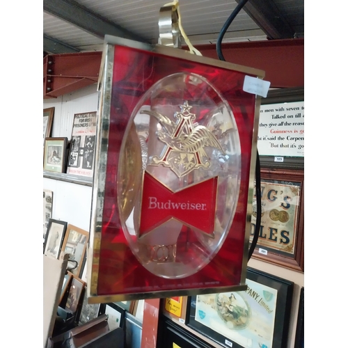 407 - 1980's Budweiser Lager Perspex light up advertising lantern. {40 cm H x 22 cm W x 22 cm D}.