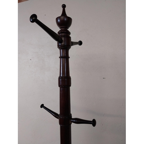 14 - 19th C. mahogany hat and coat stand raised on lions paw feet {104 cm H x 213 cm W x 77 cm D}.