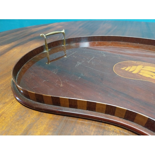 178 - 19th C. mahogany and satinwood kidney tray {6 cm H x 56 cm W x 40 cm D}.