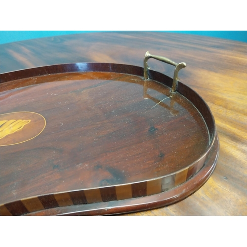 178 - 19th C. mahogany and satinwood kidney tray {6 cm H x 56 cm W x 40 cm D}.