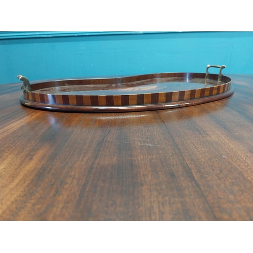 178 - 19th C. mahogany and satinwood kidney tray {6 cm H x 56 cm W x 40 cm D}.