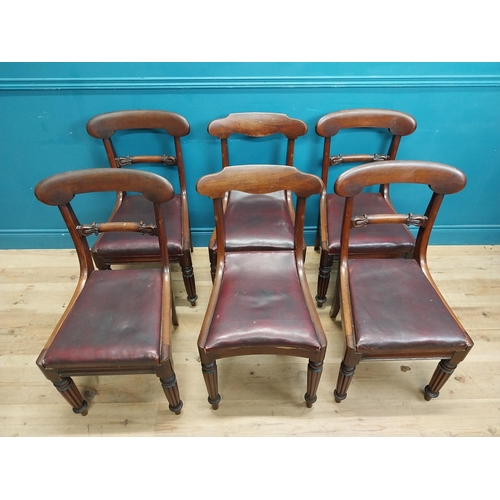 197 - Set of six 19th C. mahogany dining chairs with vinyl upholstered seats raised on reeded legs {86 cm ... 