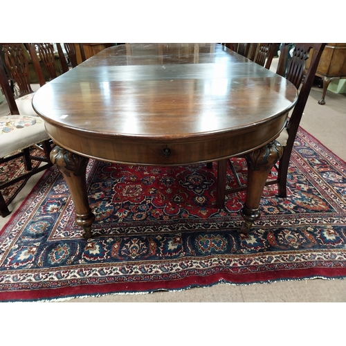 198 - Good quality Victorian D-end dining table with extra leaves raised on turned carved legs {74 cm H x ... 