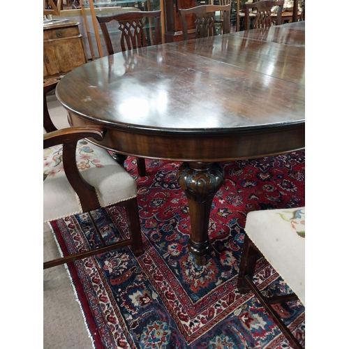 198 - Good quality Victorian D-end dining table with extra leaves raised on turned carved legs {74 cm H x ... 