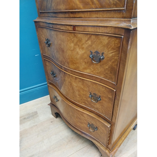 212 - Good quality burr wallnut chest of chest with six drawers {130 cm H x 57 cm W  X 40 cm D}.