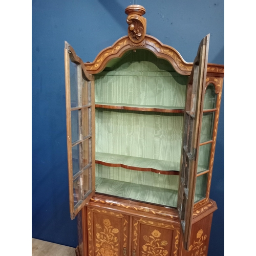 216 - Kingwood arched display cabinet decorated with foliage and flowers, the two glazed doors above two b... 