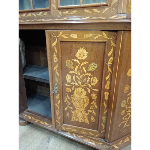 216 - Kingwood arched display cabinet decorated with foliage and flowers, the two glazed doors above two b... 