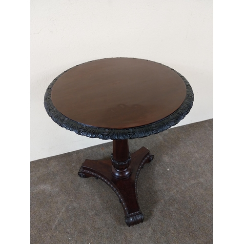 228 - William IV mahogany lamp table raised on turned column, platform base and scroll feet {60 cm H x 50 ... 