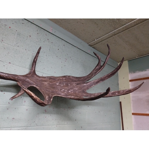 231 - Rare resin cast of original Irish elk Antlers and skull {118 cm H x 310 cm W x 105 cm D}.