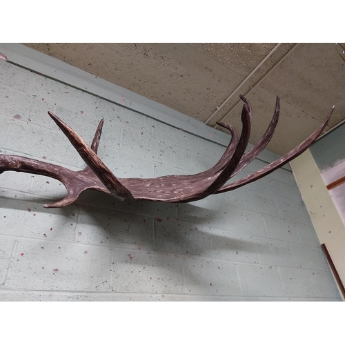 231 - Rare resin cast of original Irish elk Antlers and skull {118 cm H x 310 cm W x 105 cm D}.