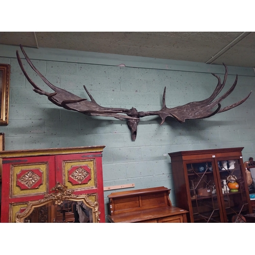 231 - Rare resin cast of original Irish elk Antlers and skull {118 cm H x 310 cm W x 105 cm D}.