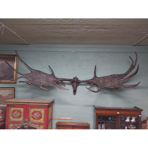 231 - Rare resin cast of original Irish elk Antlers and skull {118 cm H x 310 cm W x 105 cm D}.