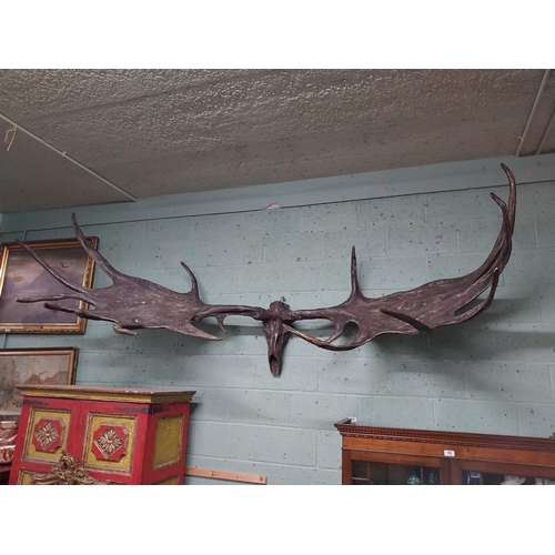 231 - Rare resin cast of original Irish elk Antlers and skull {118 cm H x 310 cm W x 105 cm D}.