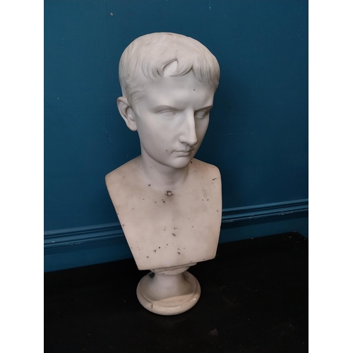 242 - 19th C. marble bust on plinth of young Emperor Augustus by E. Gazzeri Roma. {58 cm H x 28 cm W x 24 ... 