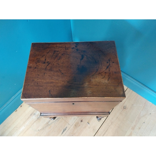 68 - Georgian mahogany cellarette raised on turned legs and castors {63 cm H x 49 cm W x 23 cm D}.