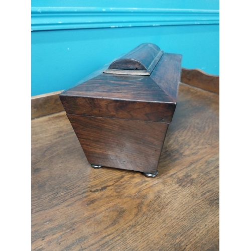 74 - William IV rosewood tea caddy with fitted interior {17 cm H x 28 cm W x 14 cm D}.