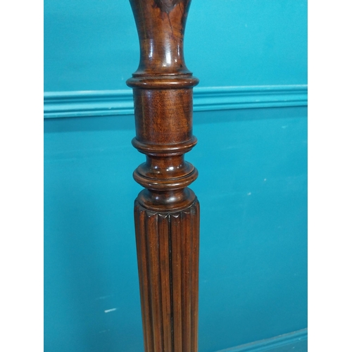 77 - Edwardian mahogany torchere raised on turned column and three outswept feet {122 cm H x 42 cm Dia.}.