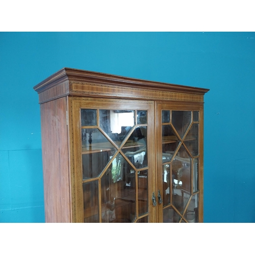 865 - Edwardian mahogany and satinwood line press with two astral glazed doors raised on square tapered le... 