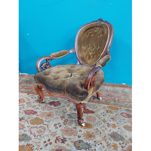 887 - Good quality 19th. C. Deep buttoned upholstered mahogany on armchair raised on cabriole legs { 101cm... 