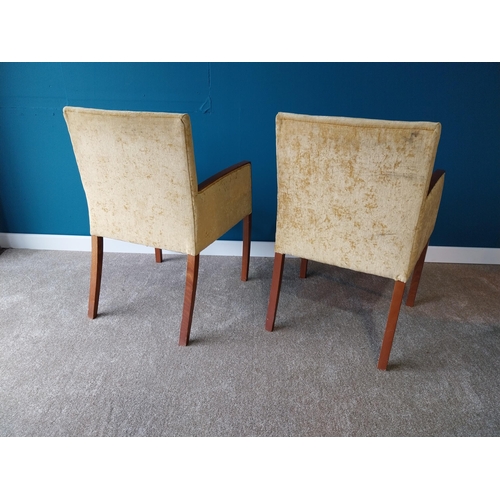 896 - Pair of velvet upholstered armchairs raised on square tapered legs {88 cm H x 60 cm W x 60 cm W}.