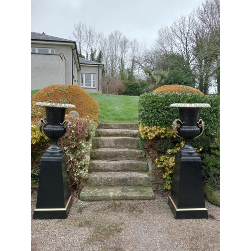 902 - Pair  of cast iron urns and bases  { Total 185cm H X 66cm Dia & Bases 93cm H X 53cm Sq. }.