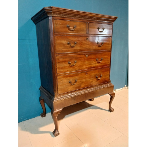 926 - Edwardian mahogany chest on stand with two short drawers over three long graduated drawers raised on... 