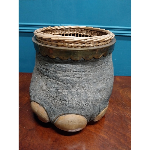 202A - 19th. C. taxidermy elephant's foot in the form of a waste paper bucket with inset wicker basket { 33... 