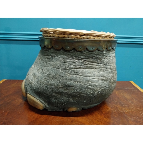 202A - 19th. C. taxidermy elephant's foot in the form of a waste paper bucket with inset wicker basket { 33... 