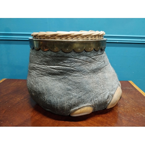 202A - 19th. C. taxidermy elephant's foot in the form of a waste paper bucket with inset wicker basket { 33... 