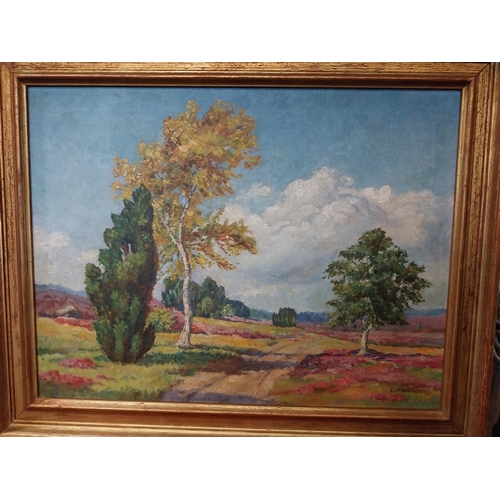 937 - Lilian Murdock Rural Scene Oil on Canvas { 47cm H X 60cm W }.