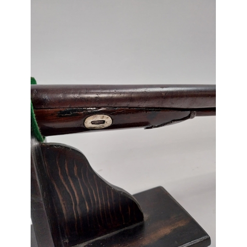 193 - 19th.C. percussion capped side-by-side double barrel shotgun, with walnut stock, chased action, dama... 