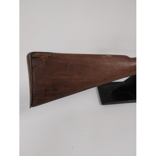 237 - 19th. C. percussion cap Sneider rolling block single barrel gun with walnut stock, sight and with so... 