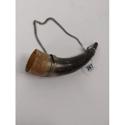 267 - 19th. C. horn powder flask with white metal mounts and chain. { 28cm L overall. }.