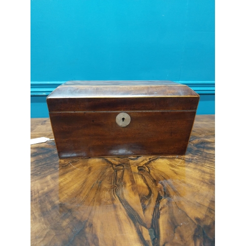 84 - 19th C. mahogany and satinwood tea caddy with lion's mask handles. {16 cm H x 31 cm W X 16 cm D}.