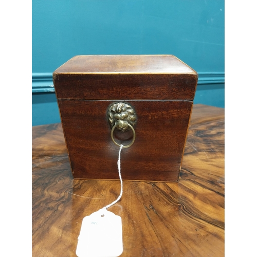 84 - 19th C. mahogany and satinwood tea caddy with lion's mask handles. {16 cm H x 31 cm W X 16 cm D}.