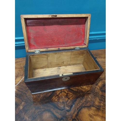 84 - 19th C. mahogany and satinwood tea caddy with lion's mask handles. {16 cm H x 31 cm W X 16 cm D}.